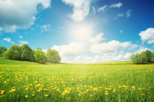 Benefits of Living in a Rural Community