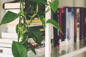 How to Make the Most of a Spare Bedroom in Your New Home