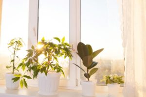 Enhancing the Natural Light in Your New Custom Home